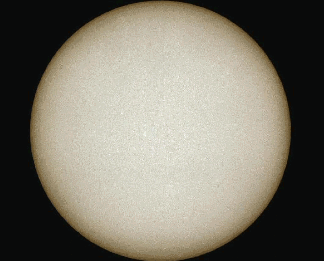 Regazzoni: «Porterò a Genova il Festival di Popsophia»