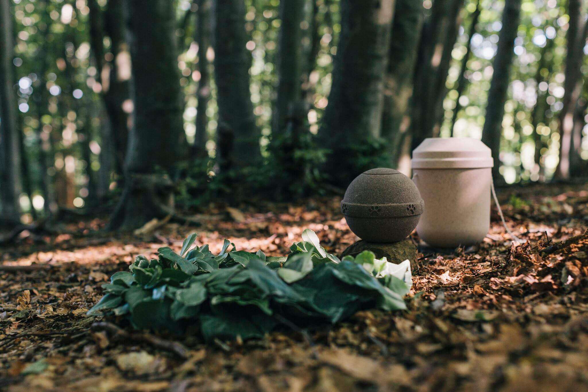 Boschi vivi centra l’obiettivo del crowdfunding