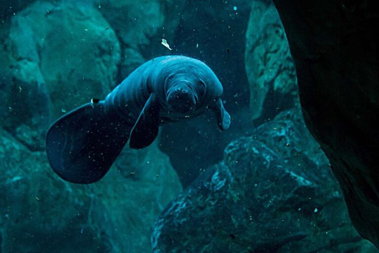 Salone Csr, Costa Edutainment partecipa all’edizione 2020