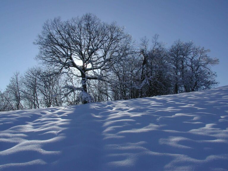 Allerta neve sulla Liguria, previste nevicate anche sulla costa
