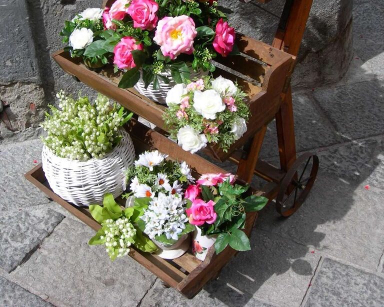 Coop riduce del 25% il prezzo di vendita di fiori e piante e riconosce supplemento a florovivaisti