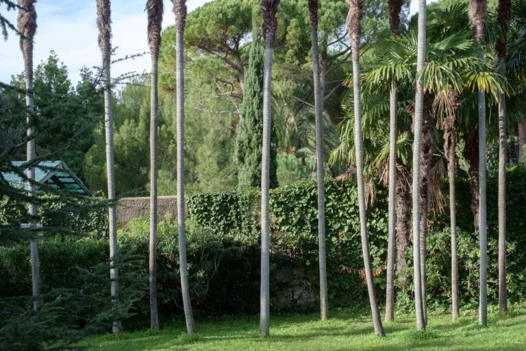 Euroflora: mostra fotografica di De Rose sui Parchi di Nervi