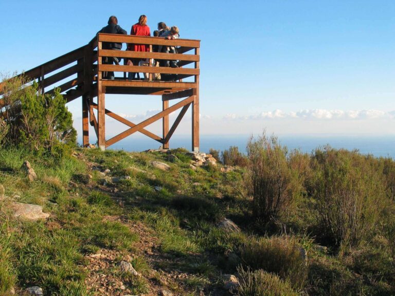 12.5 Word migratory day