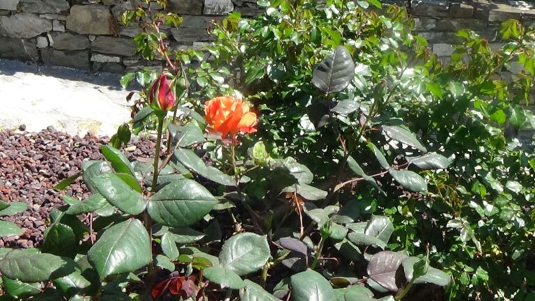 Euroflora, 210 mila biglietti venduti e anche domenica tutto esaurito