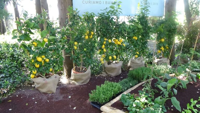 Euroflora: sold out ieri e oggi, record anche per i musei