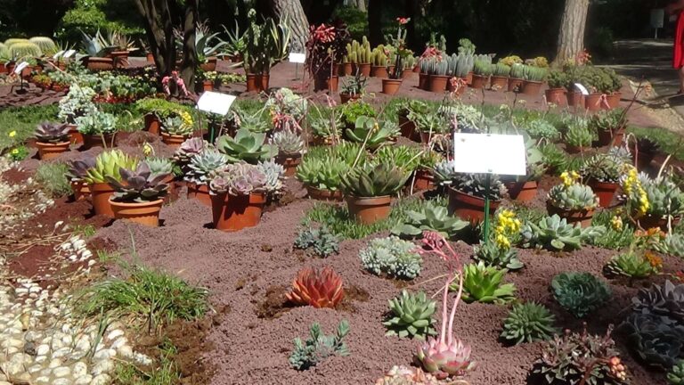 Euroflora, consultabili sul sito regolamento e concorsi