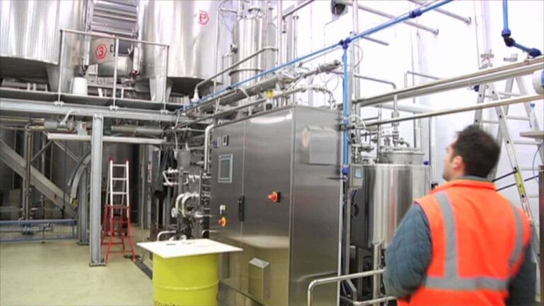 Matrunita da Vado controlla il 5% del mercato mondiale del miele