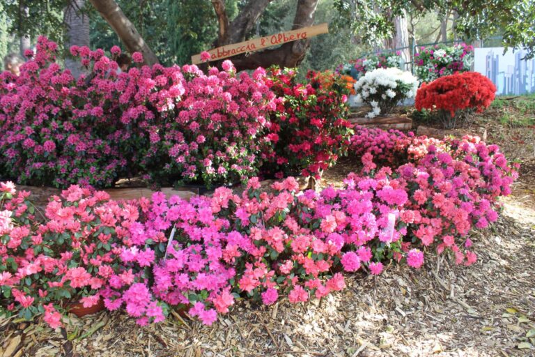 Euroflora, il programma del 4 maggio