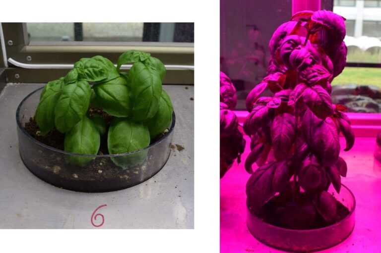 Il Microcosmo di Gruppo Fos alla tre giorni di Roma sull’agrospazio