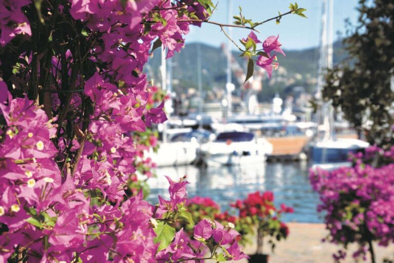 Yacht & Garden torna alla Marina Genova dal 20 al 22 maggio