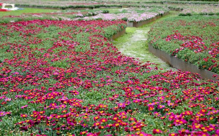 Come ha funzionato Euroflora, i numeri della manifestazione