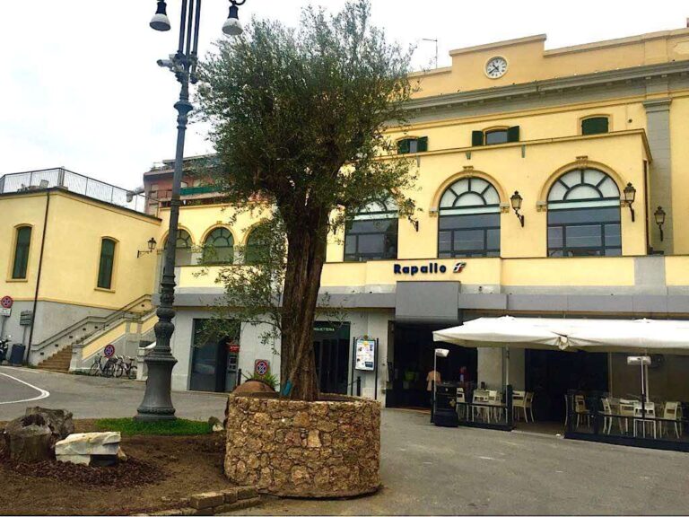 A Rapallo l’ulivo secolare di Euroflora