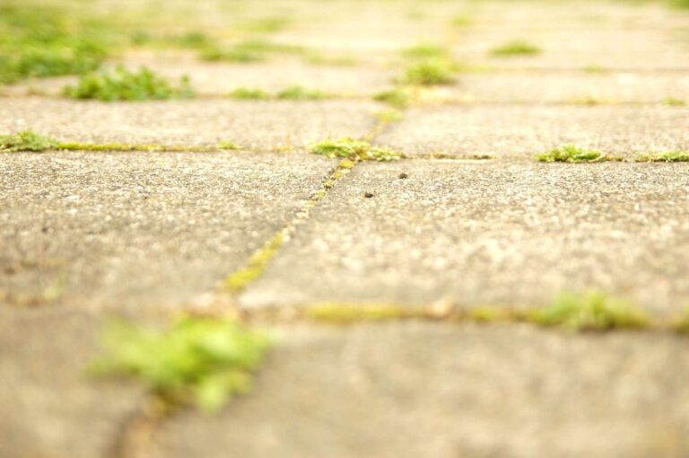 Genova: al via lo sfalcio sulle strade cittadine