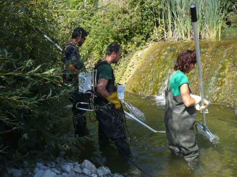 Gronda di Genova, le attività della settimana 18-22 giugno