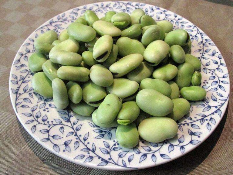 Marò, pesto di fave e menta