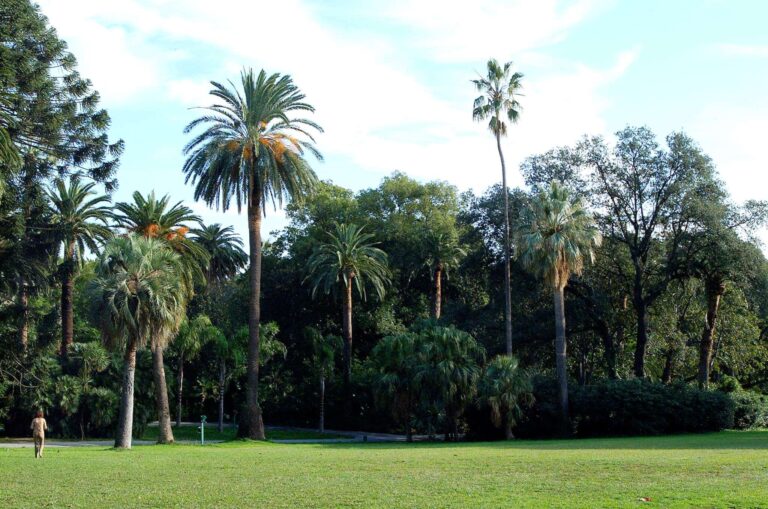 Genova: Comune, riapertura Parchi Nervi secondo programma