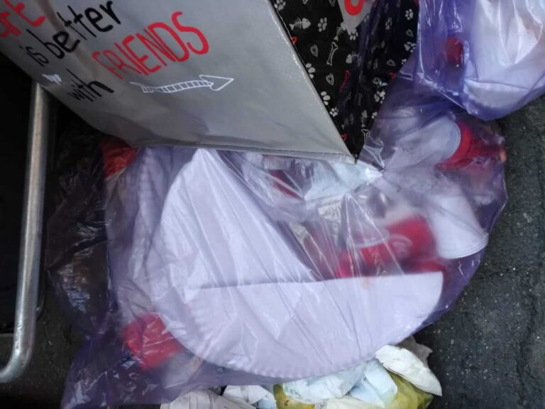 rifiuti dentro ai bidoni dell’umido