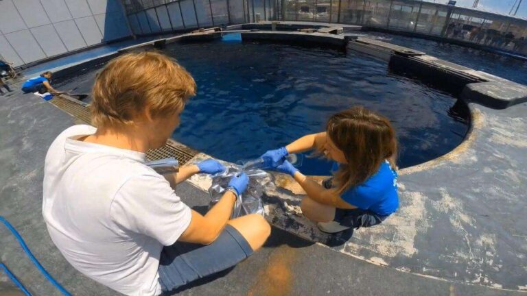 Biodiversità marina, un progetto lega Acquario di Genova e Bicocca di Milano