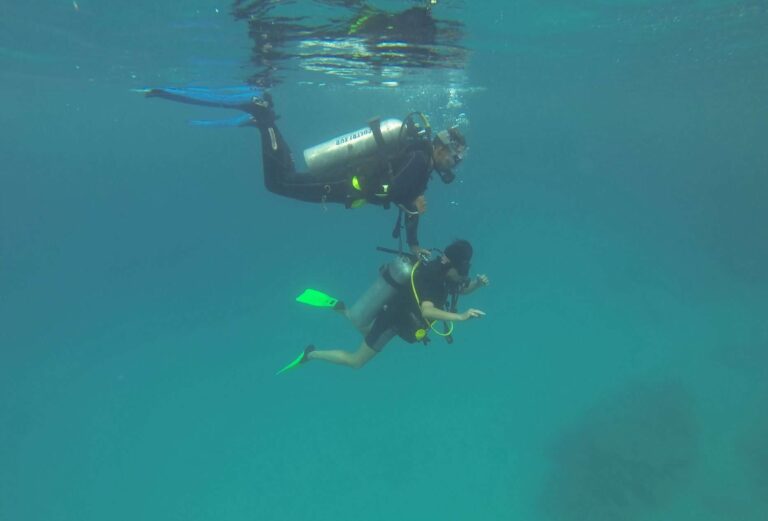 sub palombari immersione