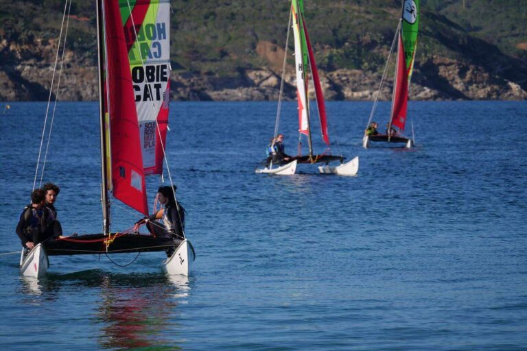 vela sclerosi multipla3