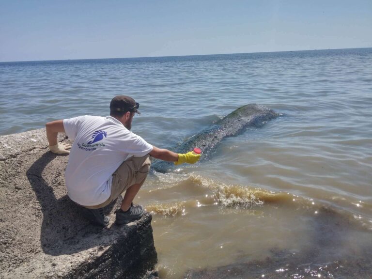 Copia di SIC02_PA_S.Flavia_Piano stenditore lungomare (18)-min