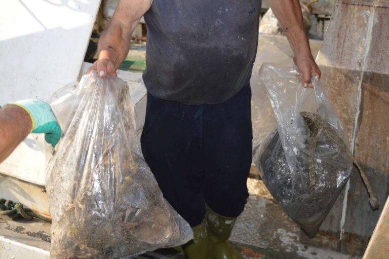 Copia di in rete contro un mare di plastica (4)