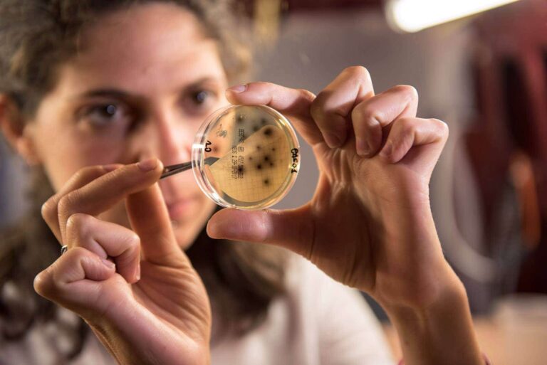 Foto di AnnaPaolaMontuoro_1_lab