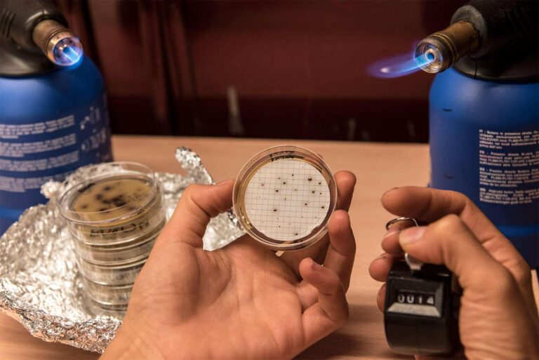 Foto di AnnaPaolaMontuoro_2_lab