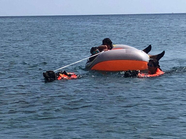 Guardia Costiera: conclusa attività sicurezza bagnanti con cani da salvataggio a Voltri