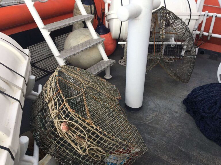 pesca guardia costiera