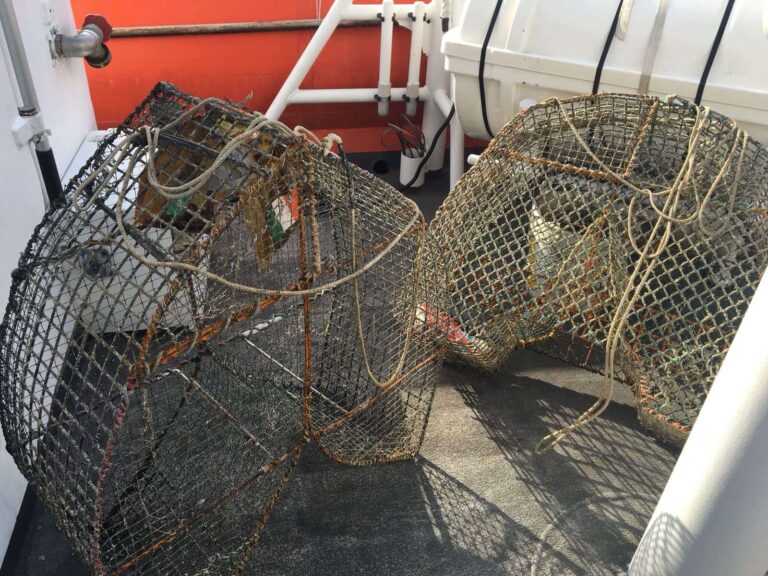 Caro petrolio, Coldiretti: «Pescherecci liguri costretti a lavorare in perdita»