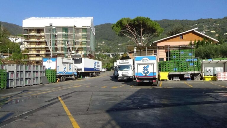 Il latte e la prescinseua: dalle colline di Rapallo al laboratorio di Albaro