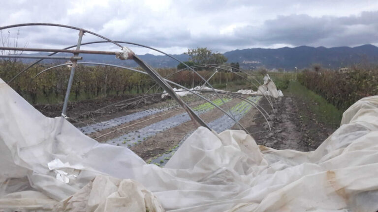Agricoltura, Cia Liguria chiede sostegno immediato alle imprese agricole colpite dal maltempo
