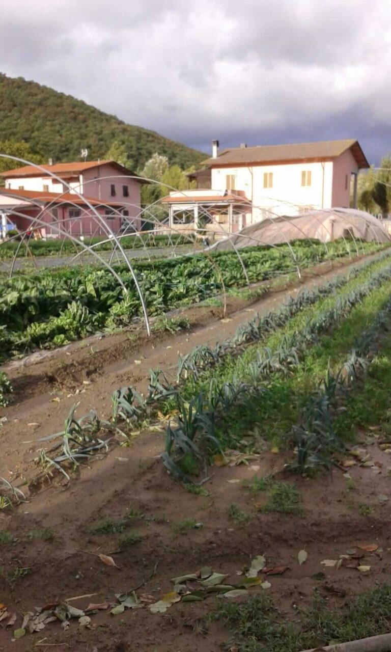I danni del maltempo alle strutture e alle coltivazioni (3)