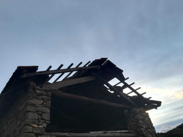 I danni del maltempo alle strutture e alle coltivazioni (6)