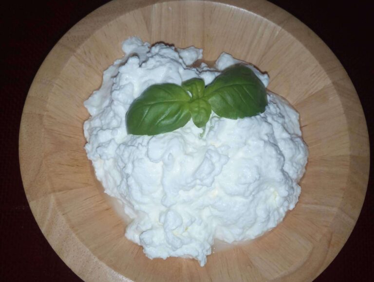 La prescinseua, un’amica ritrovata