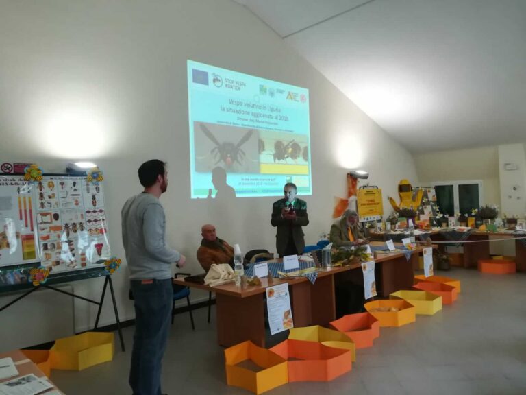 Miele, ecco le migliori produzioni dei parchi liguri