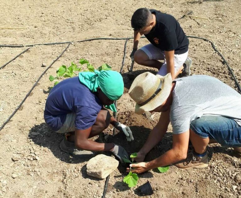 Premio esperienze innovative e partnership sociali, ecco i vincitori 2018