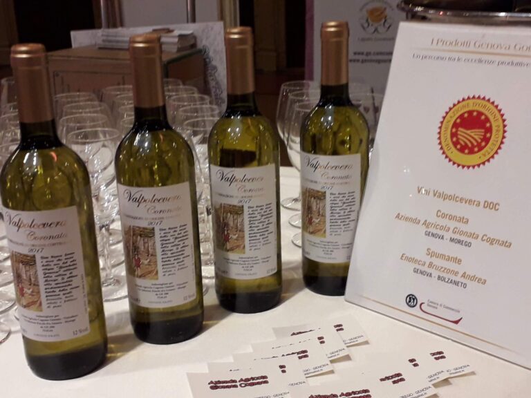 Quasi 230 mila euro per promuovere i vini liguri all’estero, domande entro il 20 ottobre