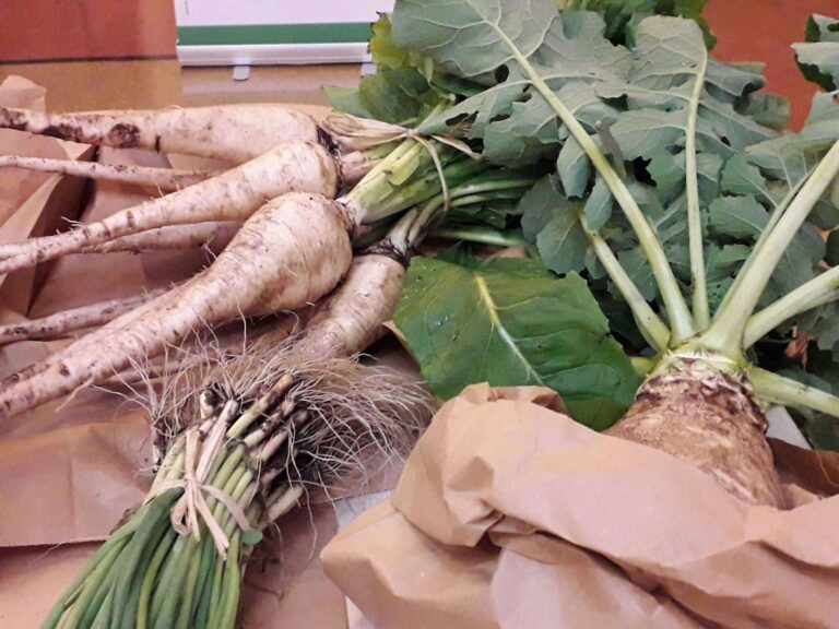 radici, cavolo navone