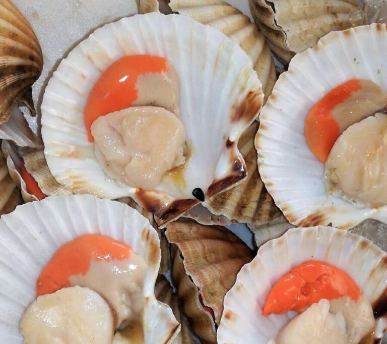 Antonio Verrini & Figli potenzia la sede di Ventimiglia