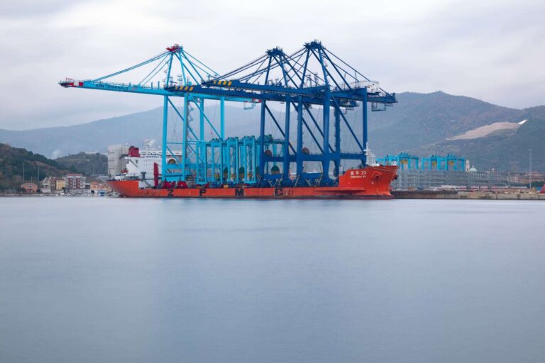 La nuova gru nel terminal di Vado Ligure (4)