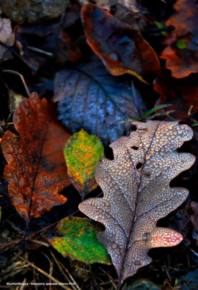 Menzione speciale Marco Pirlo