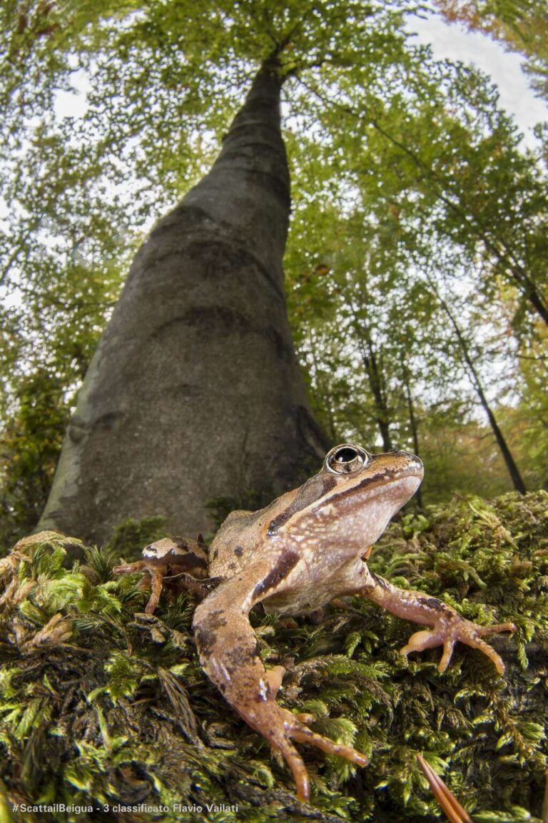 Terzo classificato Flavio Vailati