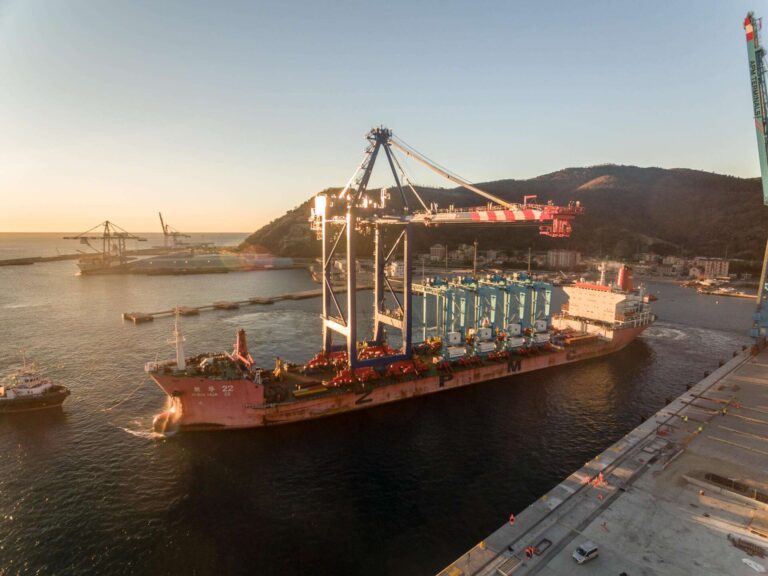 APM Terminals Vado Ligure 29 gennaio – ARMG (2)