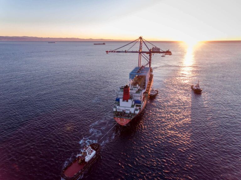 APM Terminals Vado Ligure 29 gennaio – ARMG