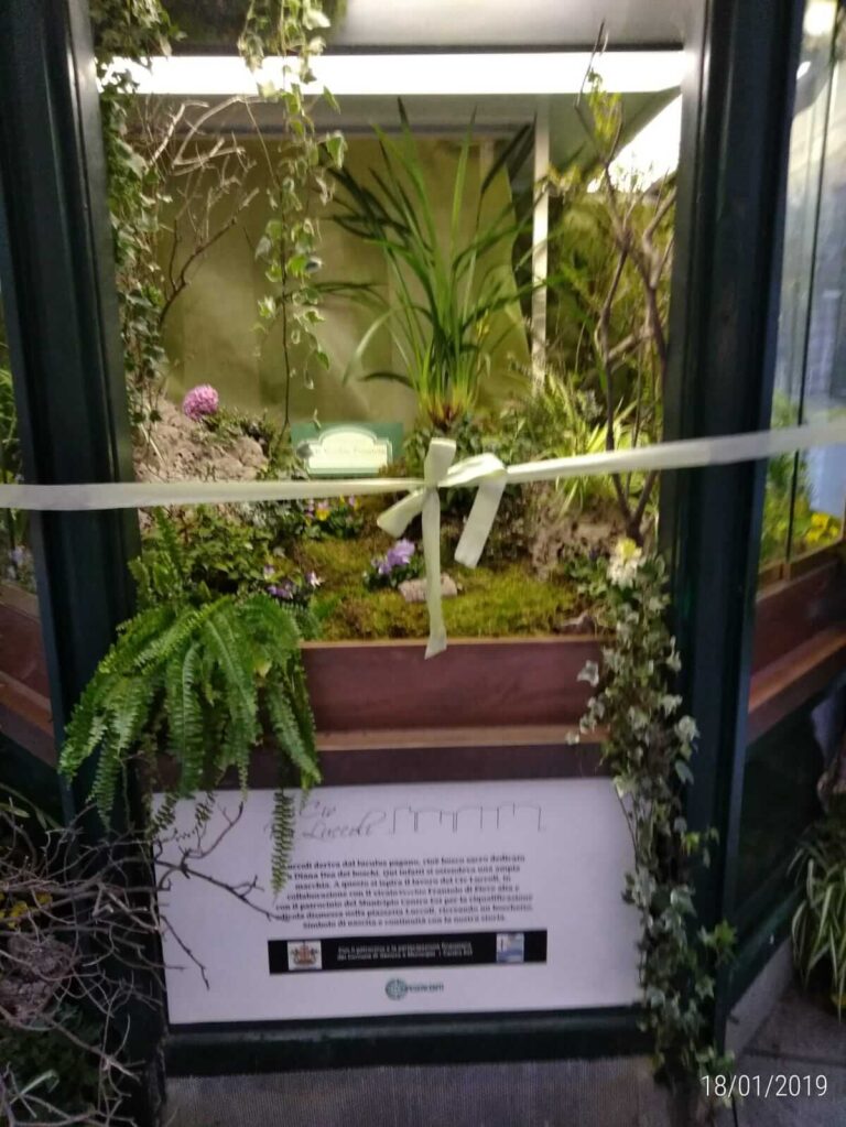 Restyling chiosco piazzetta Luccoli (1)