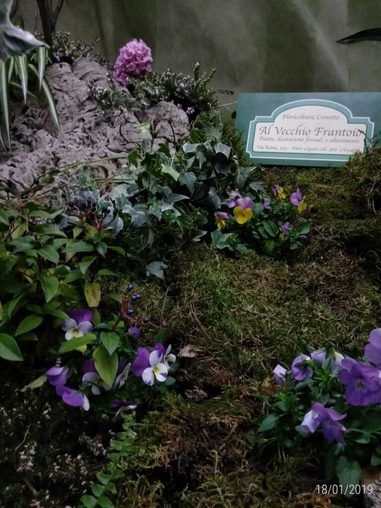 Restyling chiosco piazzetta Luccoli (2)