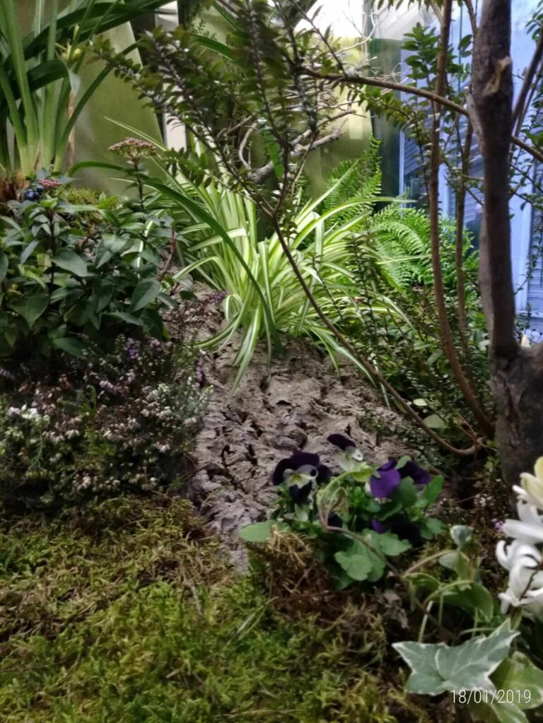 Restyling chiosco piazzetta Luccoli (3)