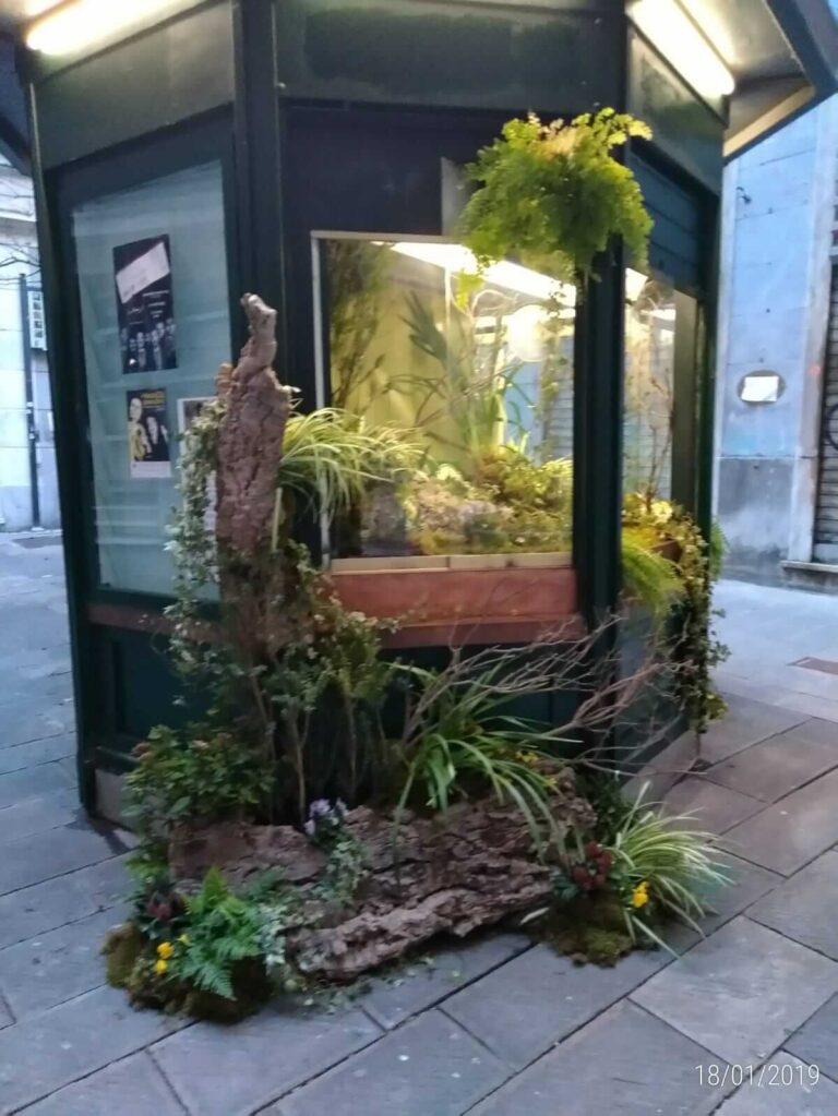 Restyling chiosco piazzetta Luccoli (4)